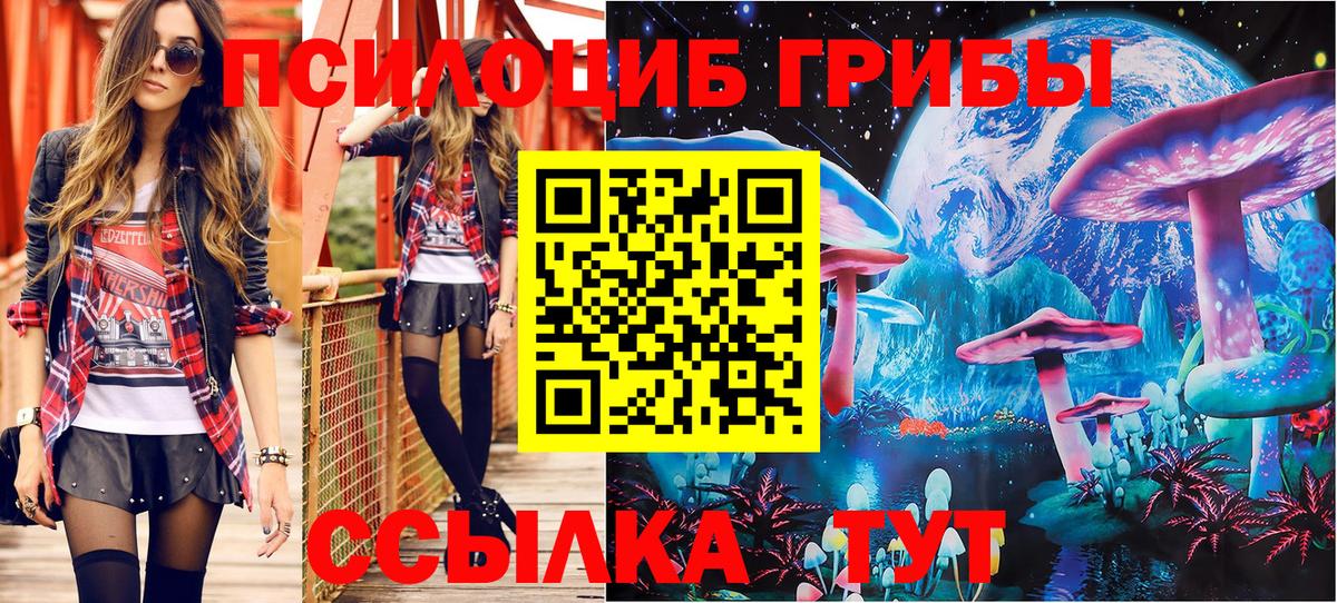 Фурманов  Псилоцибиновые грибы Cubensis  Вход с VPN  Галлюциногенные грибы GOLDEN TEACHER 